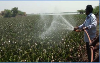 PHYTOCIDE